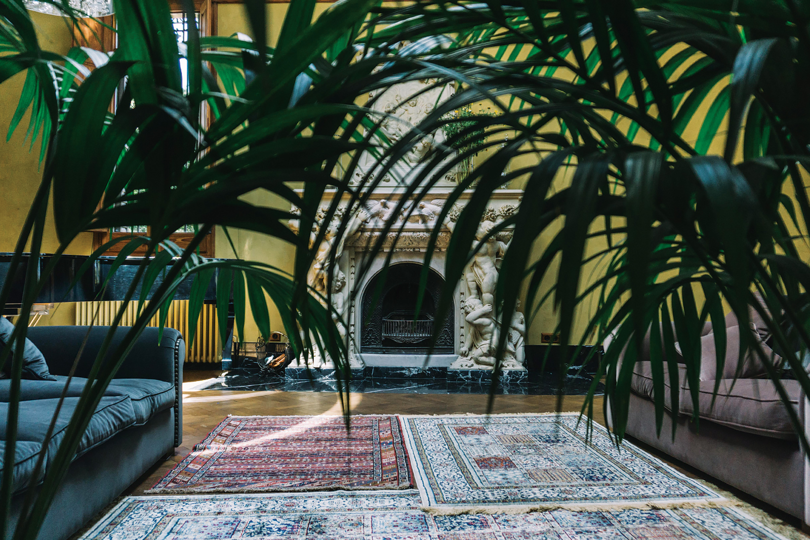 19th-Century-Library-Barcelona-7