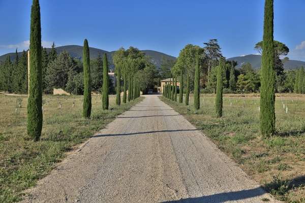 luxury-rental-eden-provence-lourmarin_105